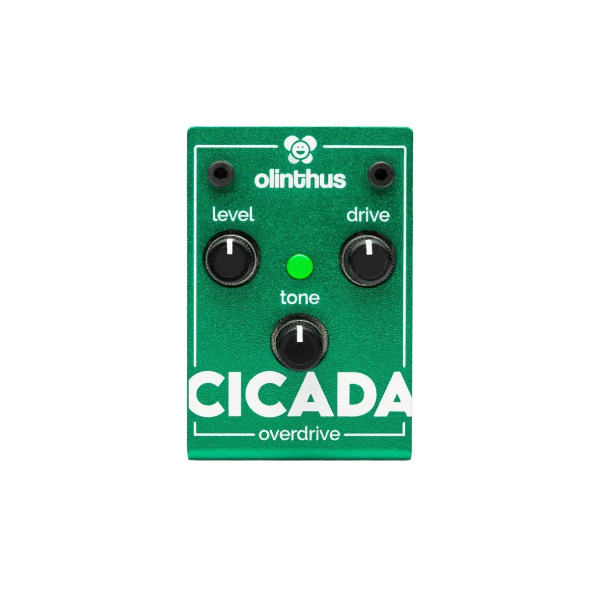 Olinthus - Cicada Miniature Overdrive