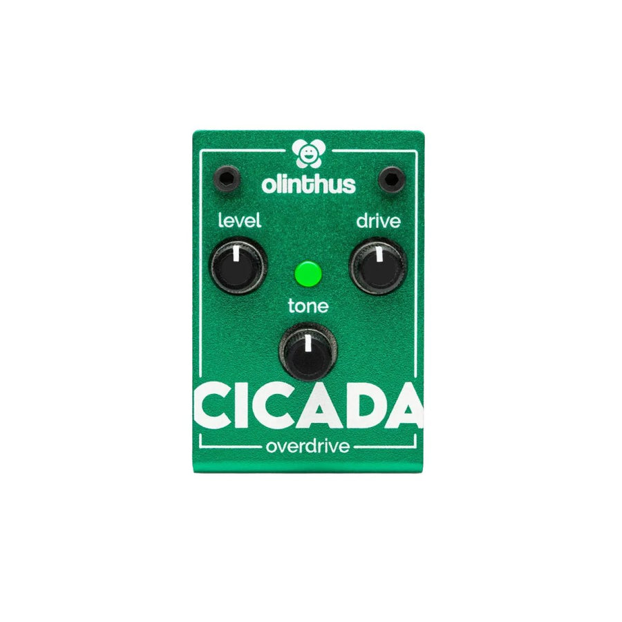 Olinthus - Cicada Miniature Overdrive