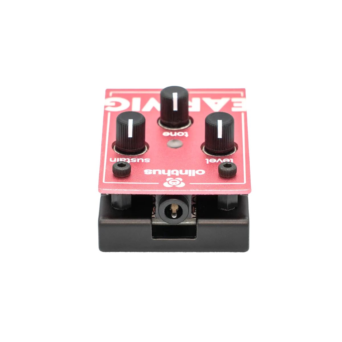 Olinthus – Earwig Miniature Fuzz
