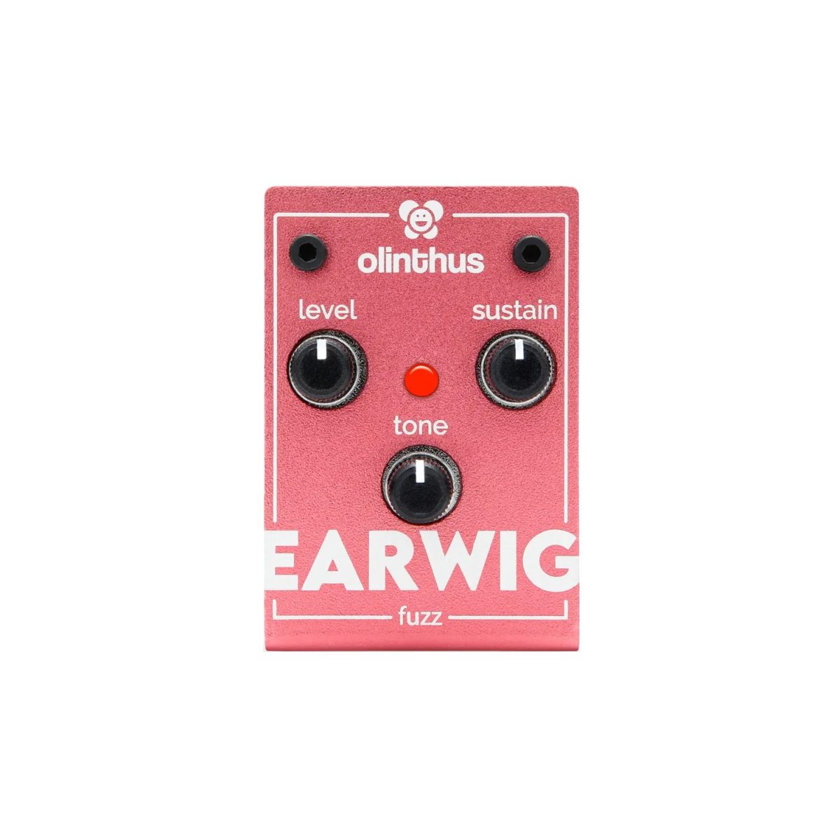 Olinthus – Earwig Miniature Fuzz
