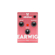 Olinthus – Earwig Miniature Fuzz