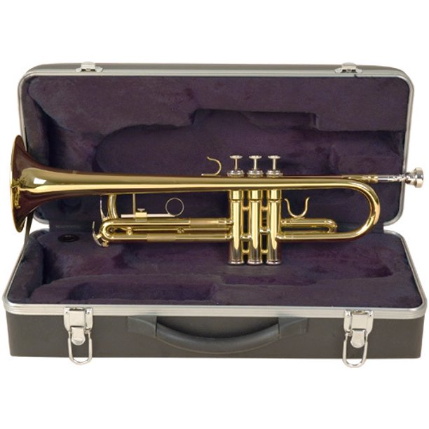 Palatino WI815TP Trumpet with case
