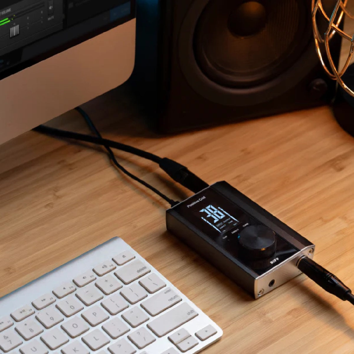 Positive Grid - RIFF Guitar Audio Interface Detail