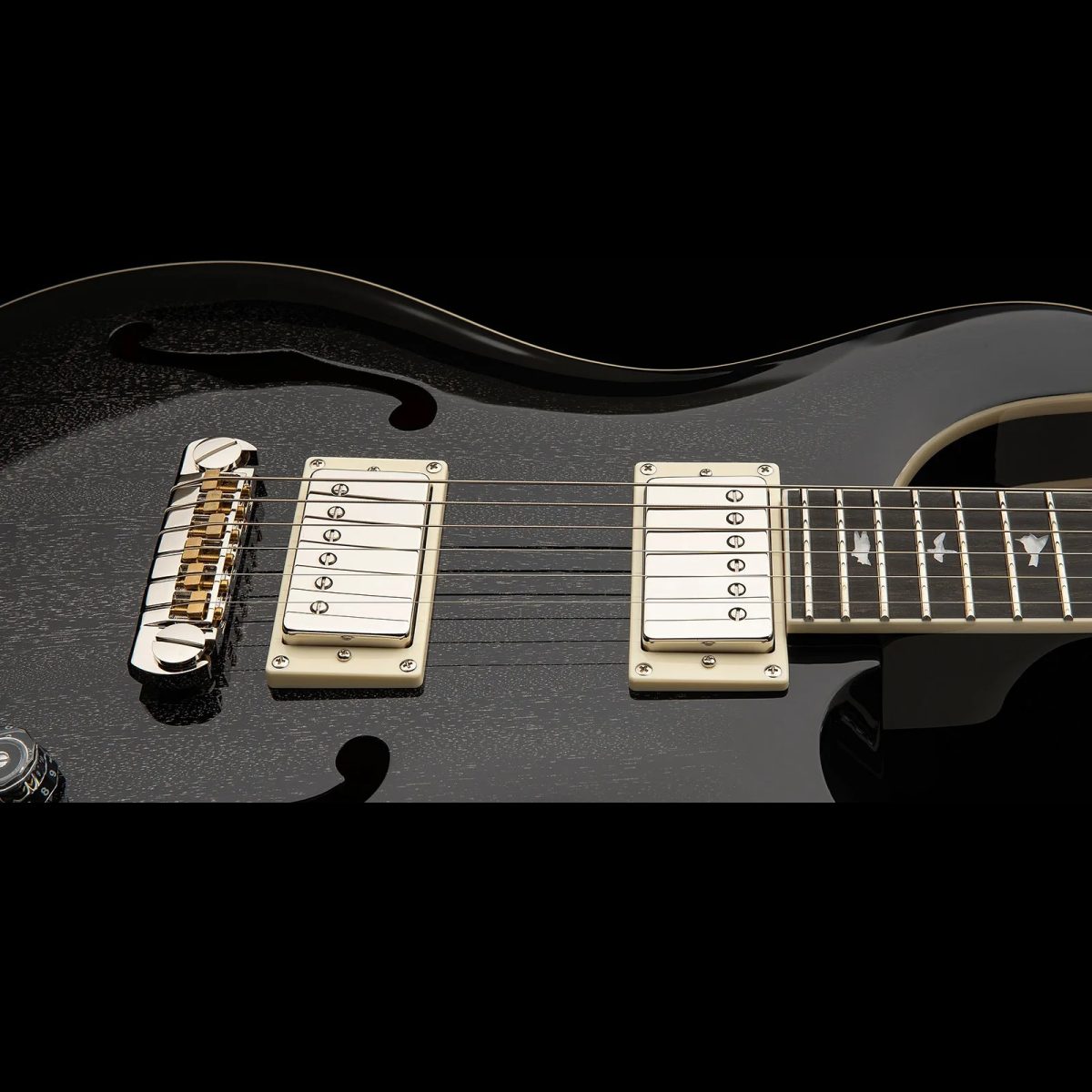 PRS Guitars - SE Hollowbody Standard - Dog Hair Smokeburst #105534DH