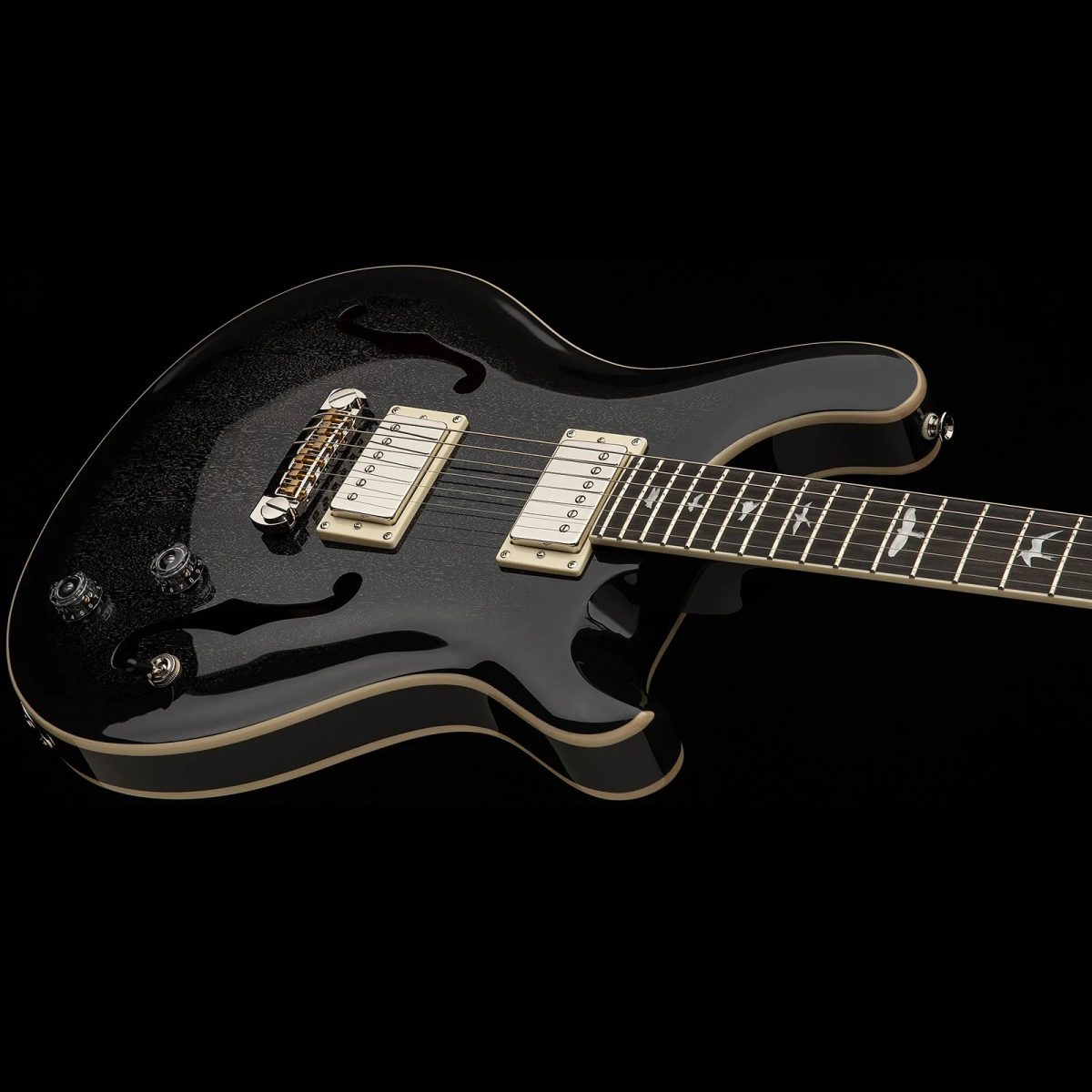 PRS Guitars - SE Hollowbody Standard - Dog Hair Smokeburst #105534DH