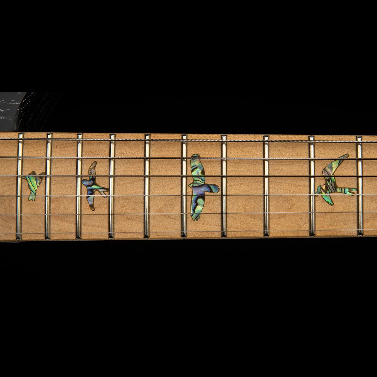 PRS Guitars - SE NF 53 - Black Doghair #115421BW