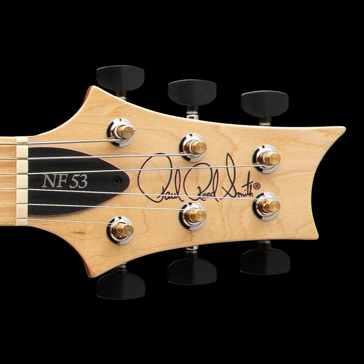 PRS Guitars - NF 53 Black Doghair