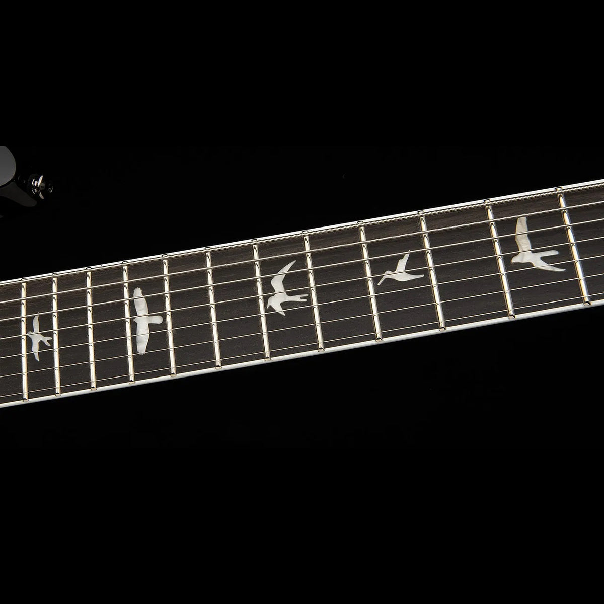PRS Guitars - SE Mark Holcomb SVN Holcomb Blue Burst