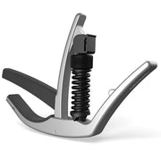 Planet Waves - Artist Capo Silver
