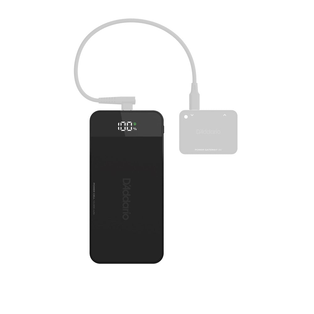 D'Addario - XPND Portable Battery Cell #PW-XPNDPPC-01