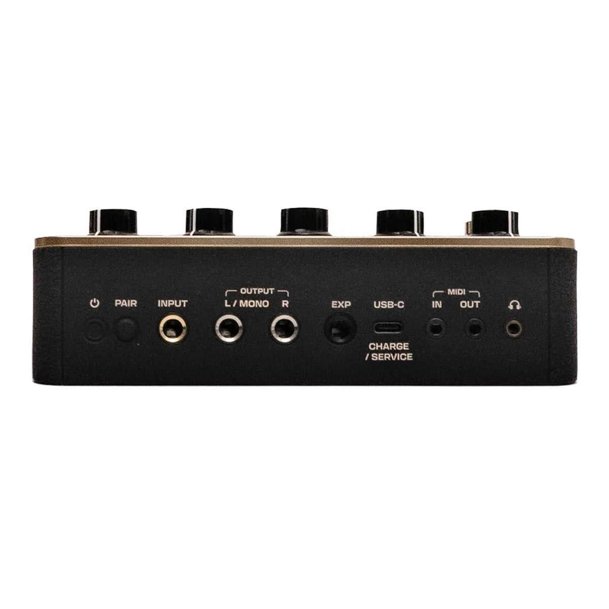 Positive Grid - Spark PEDAL Portable Smart Amp & Effects Pedal
