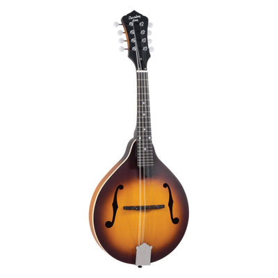 Recording King – RAM3TS - Mandoline Style A