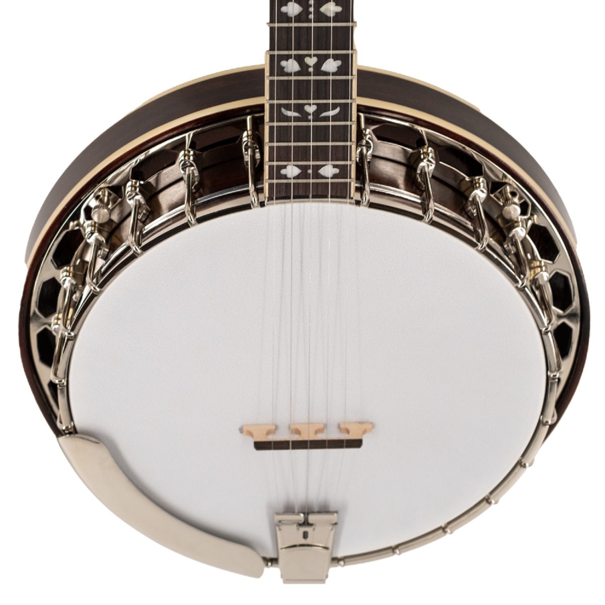 Recording King - RK-R20 - Songster Resonator Banjo Body