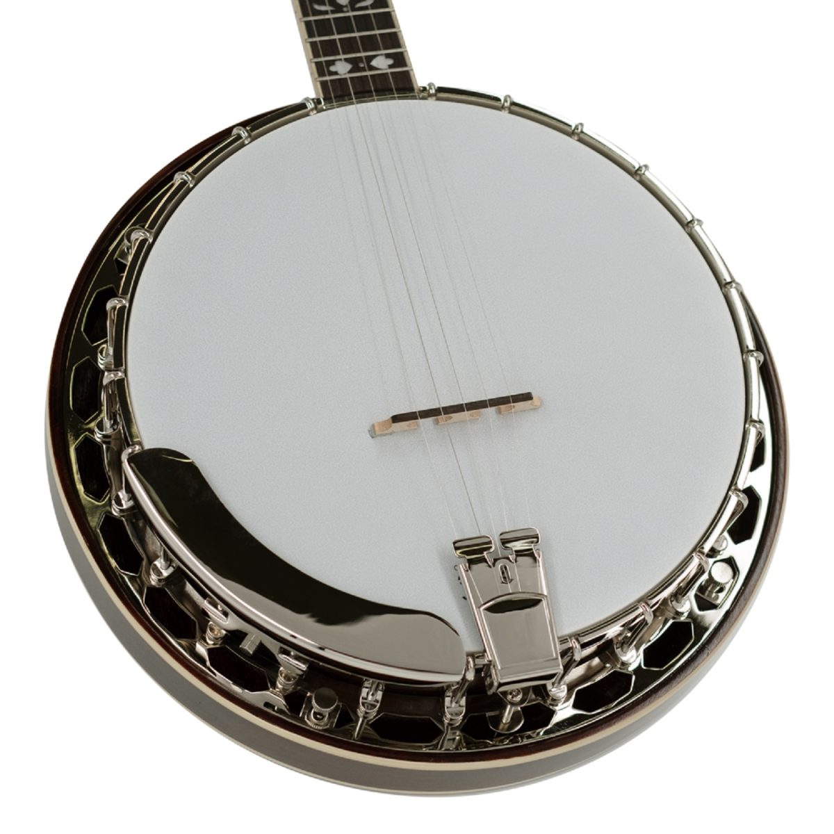 Recording King - RK-R20 - Songster Resonator Banjo Bottom