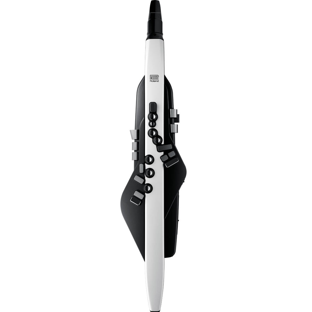 Roland Aerophone AE-20 - Digital Wind Instrument front