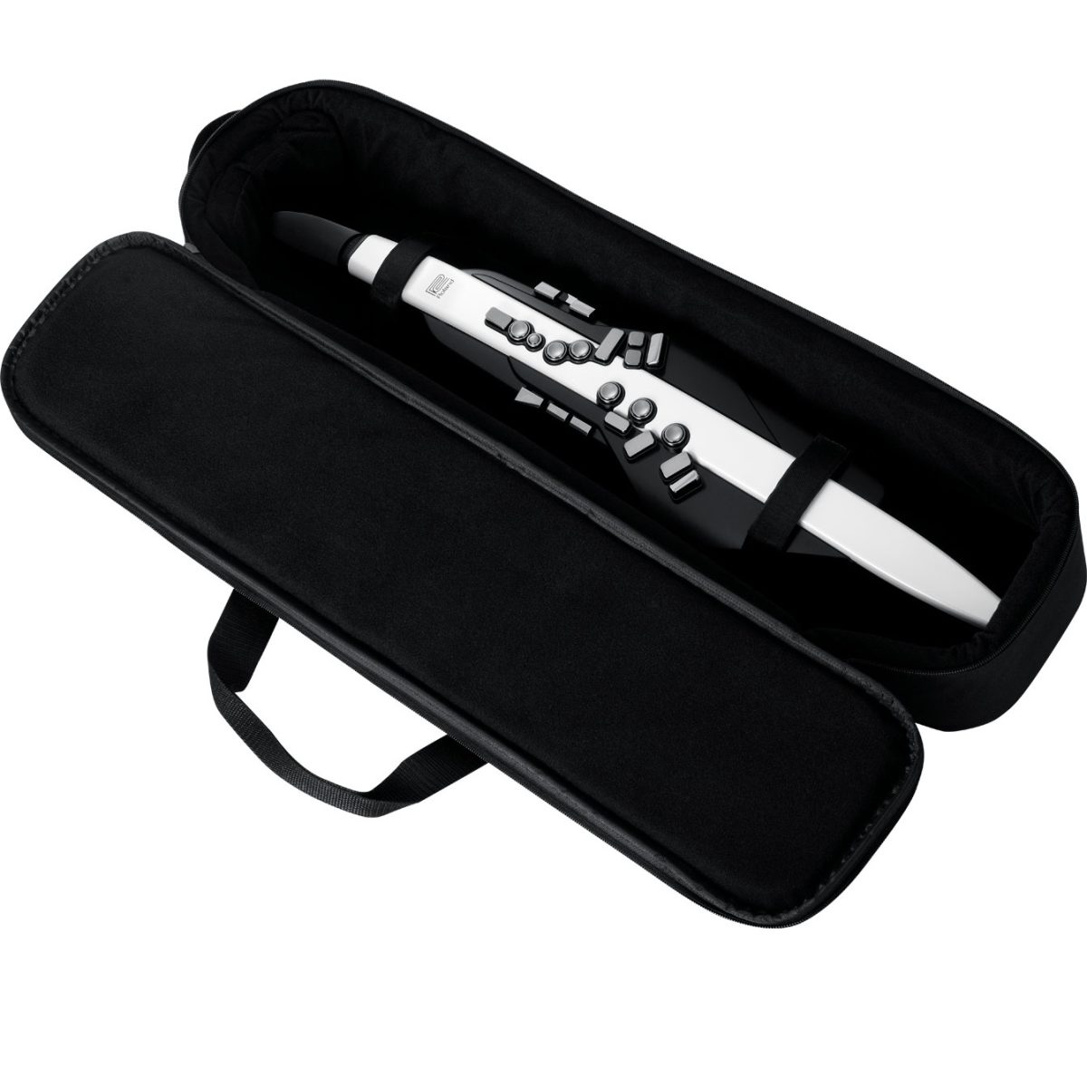 Roland Aerophone AE-20 - Digital Wind Instrument in bag