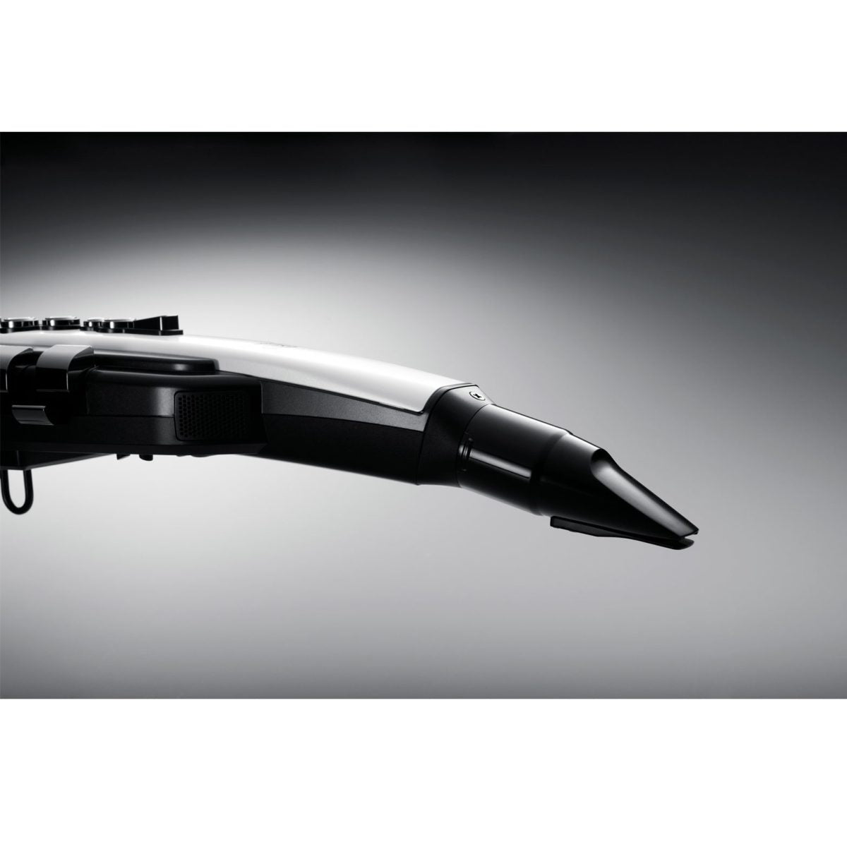 Roland Aerophone AE-20 - Digital Wind Instrument live mouthpiece
