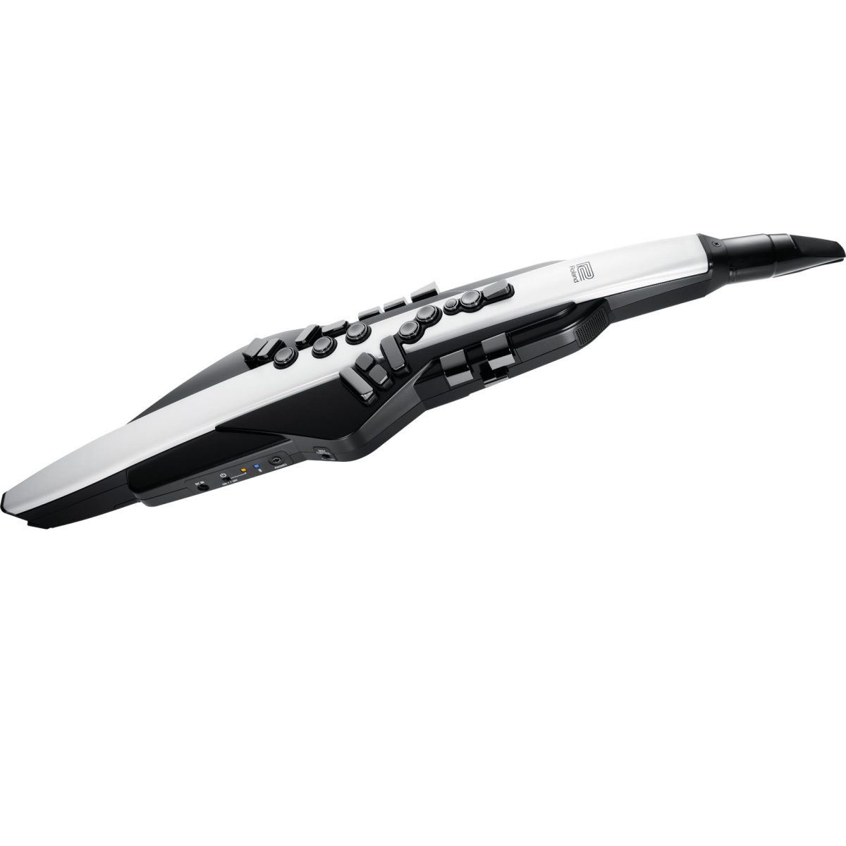 Roland Aerophone AE-20 - Digital Wind Instrument