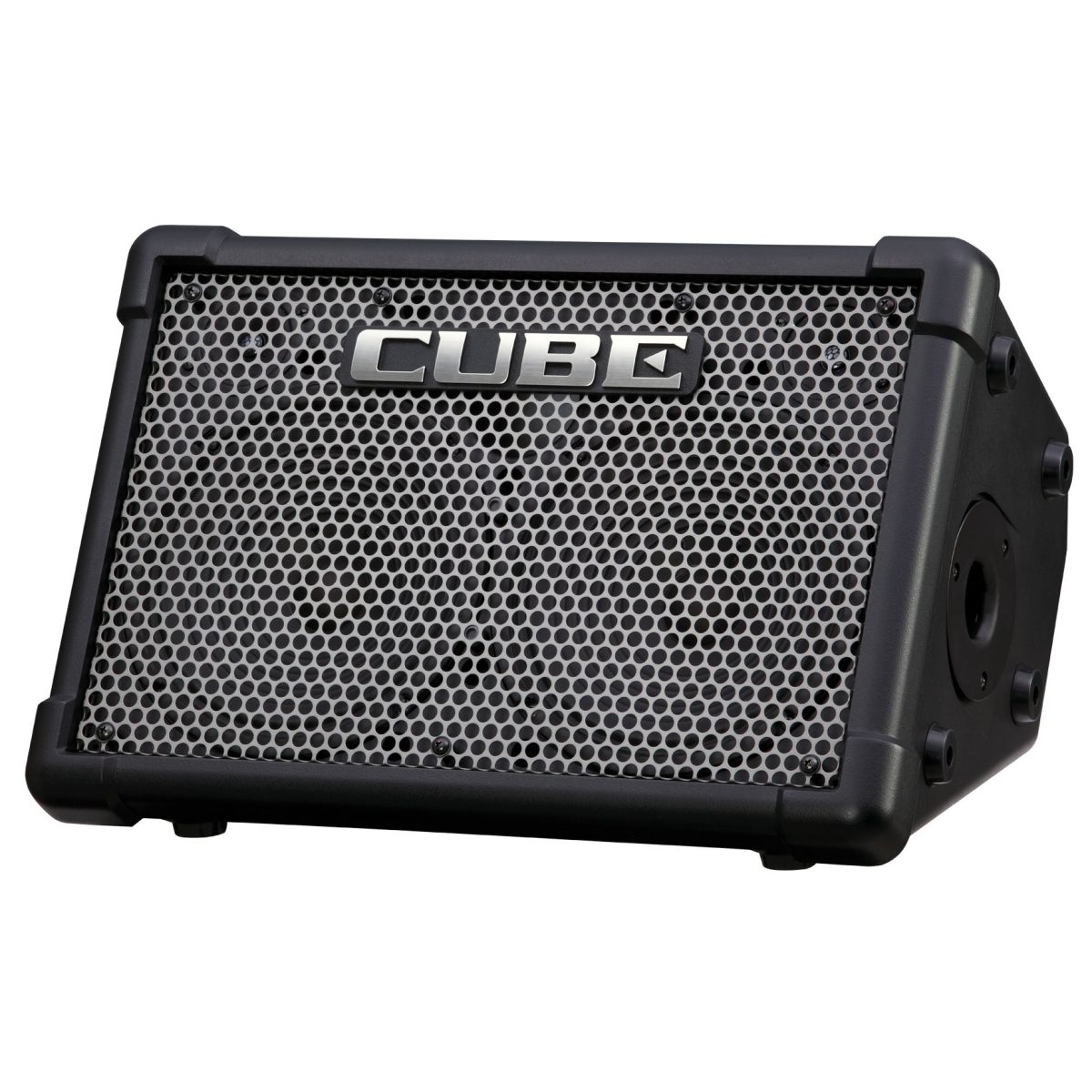 Roland - CUBE Street EX Battery-Powered Stereo Amplifier