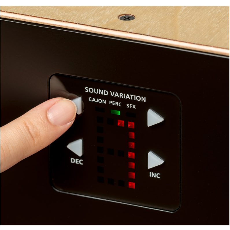 Roland EC10 - Electronic Layered Cajon controls