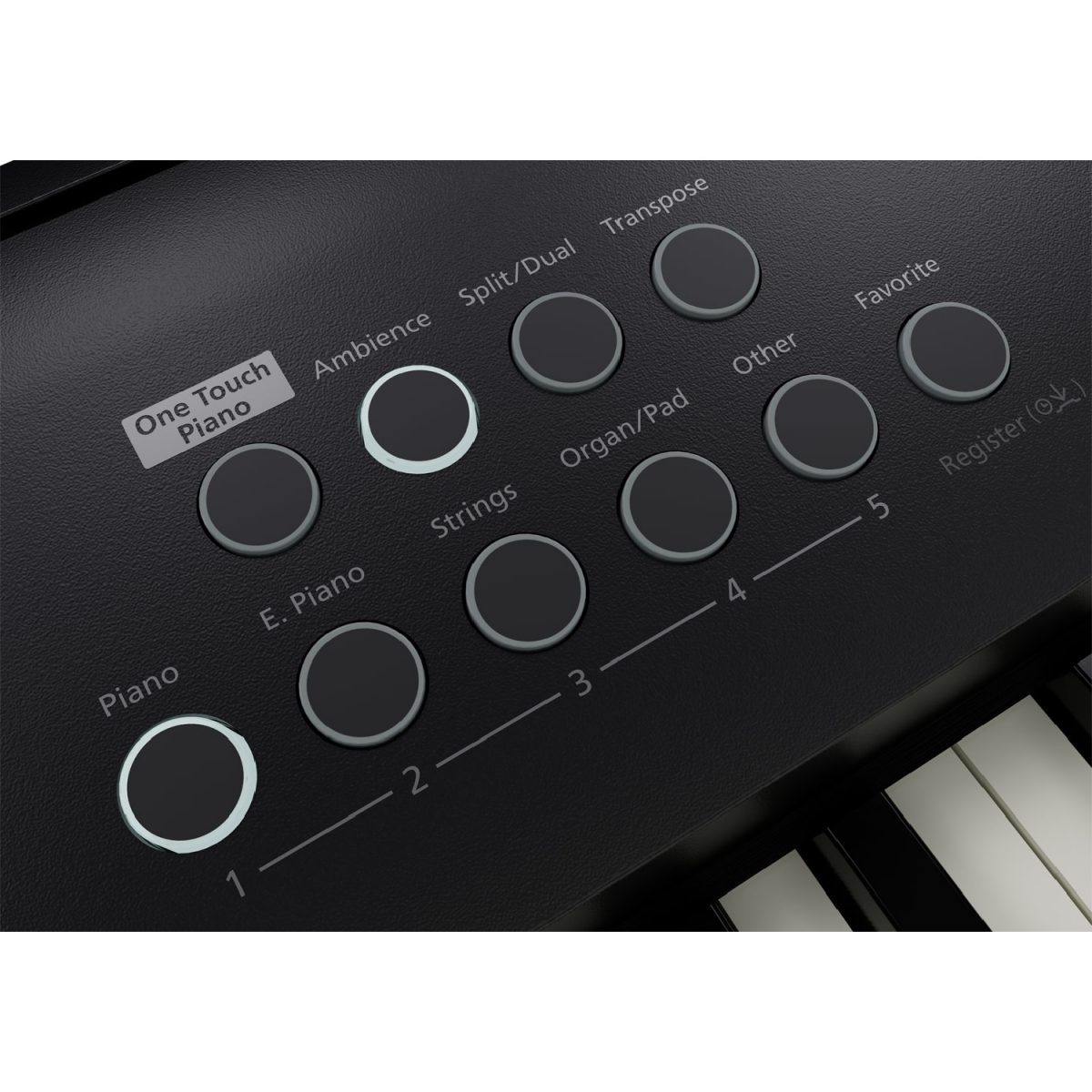 Roland - FP-E50 - Portable Digital Piano Controls 5