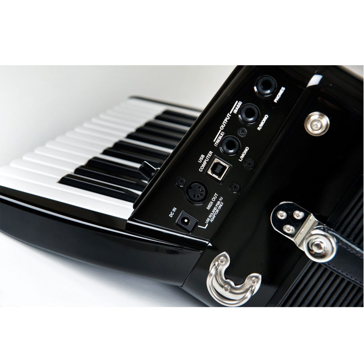 Roland FR1Xbk V-Accordion connectors