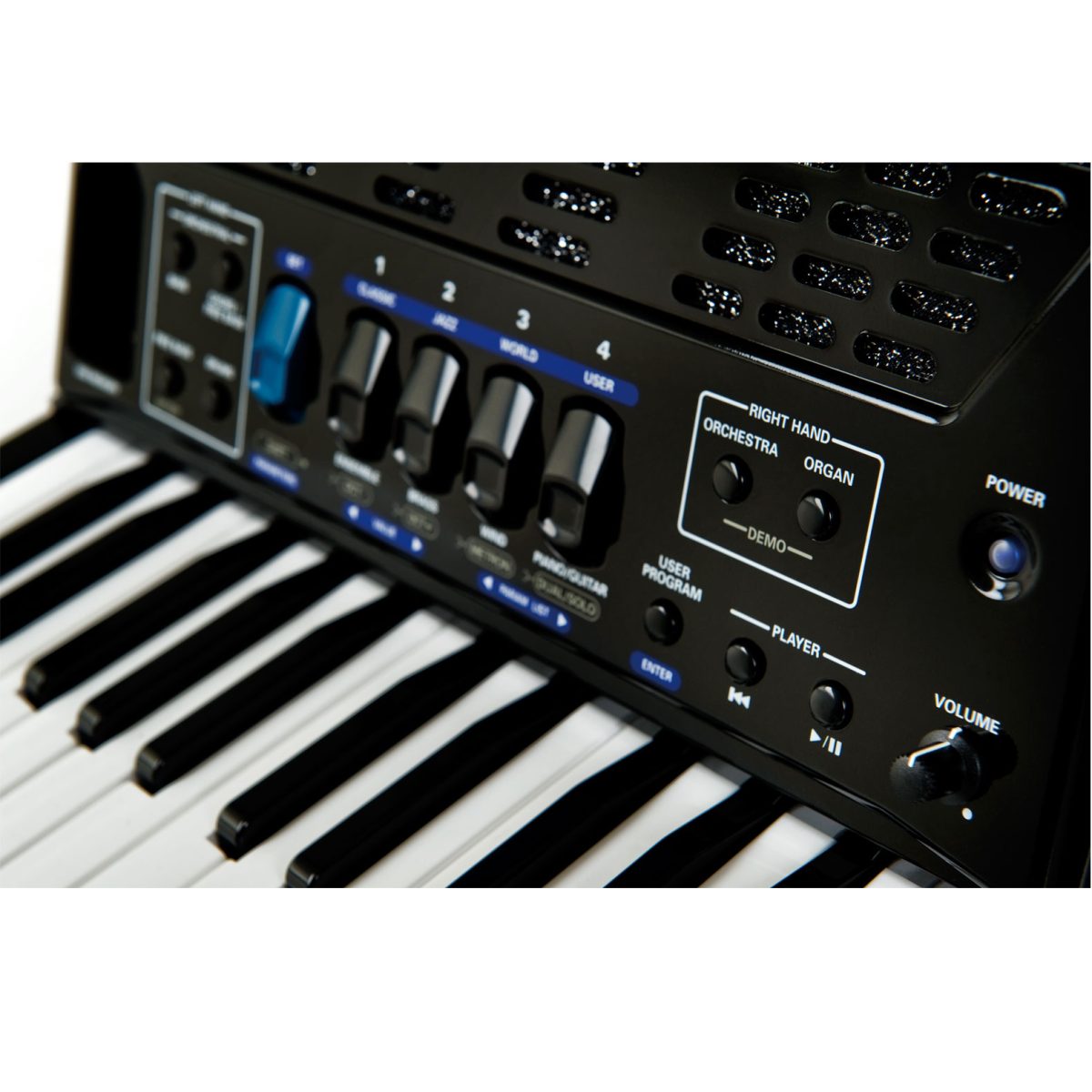 Roland FR1Xbk V-Accordion sound buttons
