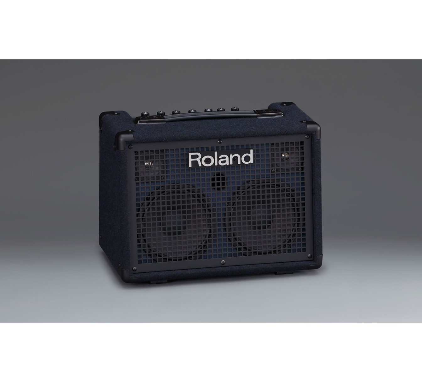 Roland KC220 live