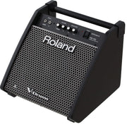 Roland PM100 Personal Monitor