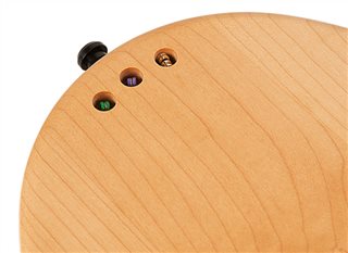 Seagull Merlin Spruce Guitars - 39227