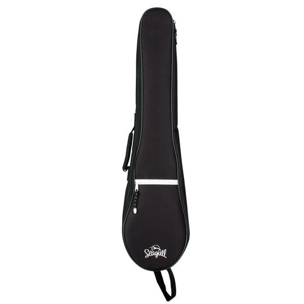 Guitares acoustiques