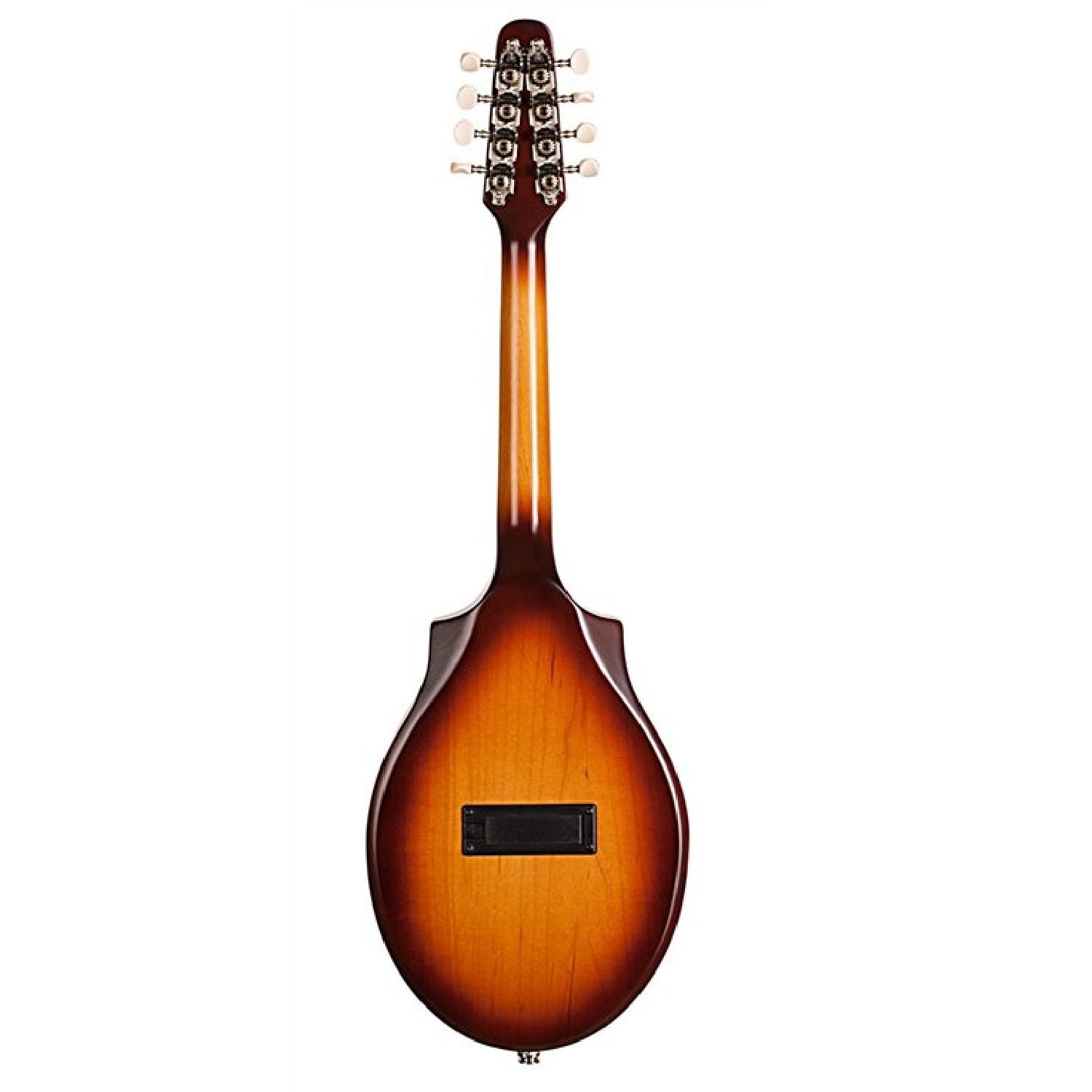 Seagull Mandolin 42500 back
