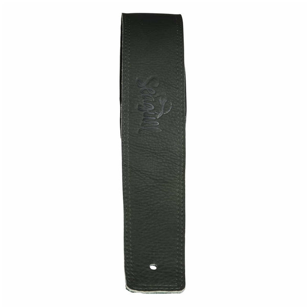 Guitar Accessories