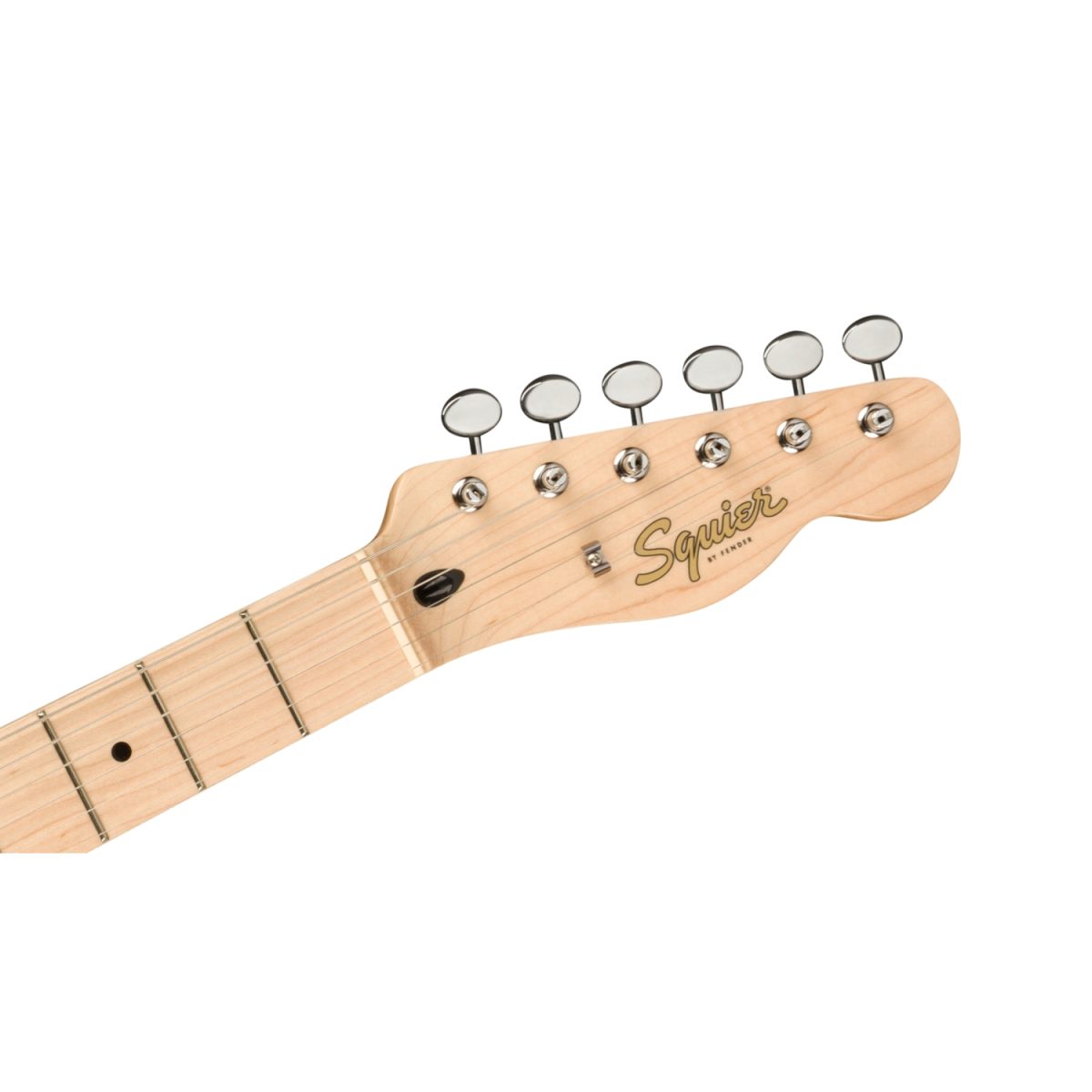 Squier - Paranormal Offset Telec - 0377005550-neck