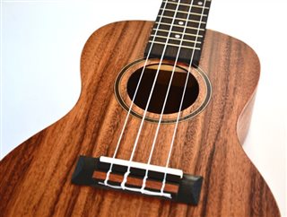 Twisted Wood Aurora Ukulele - AR800 zoom