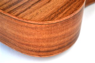 Twisted Wood Aurora Ukulele - AR800 bottom