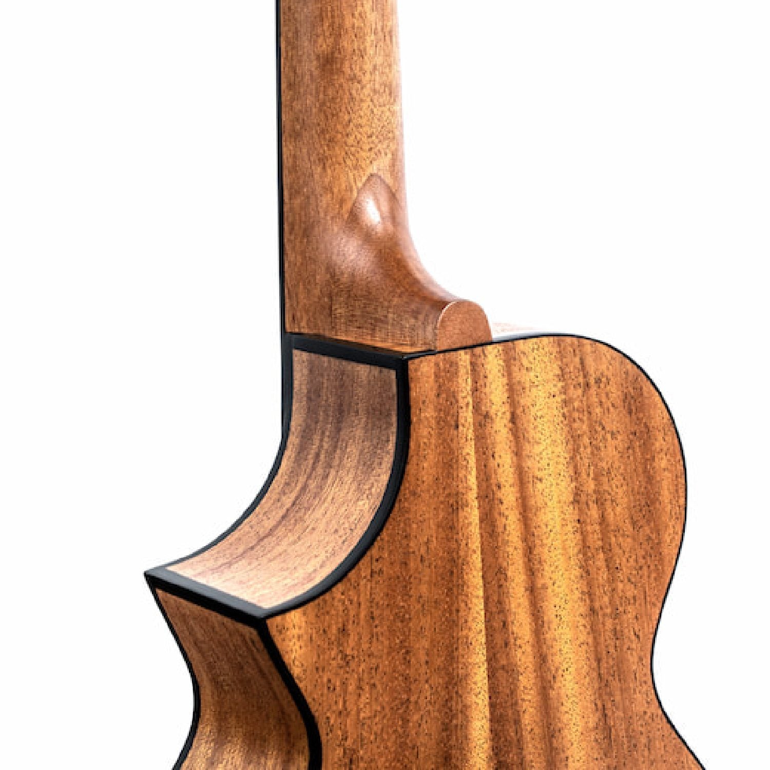 Twisted Wood Ember EM600 back body