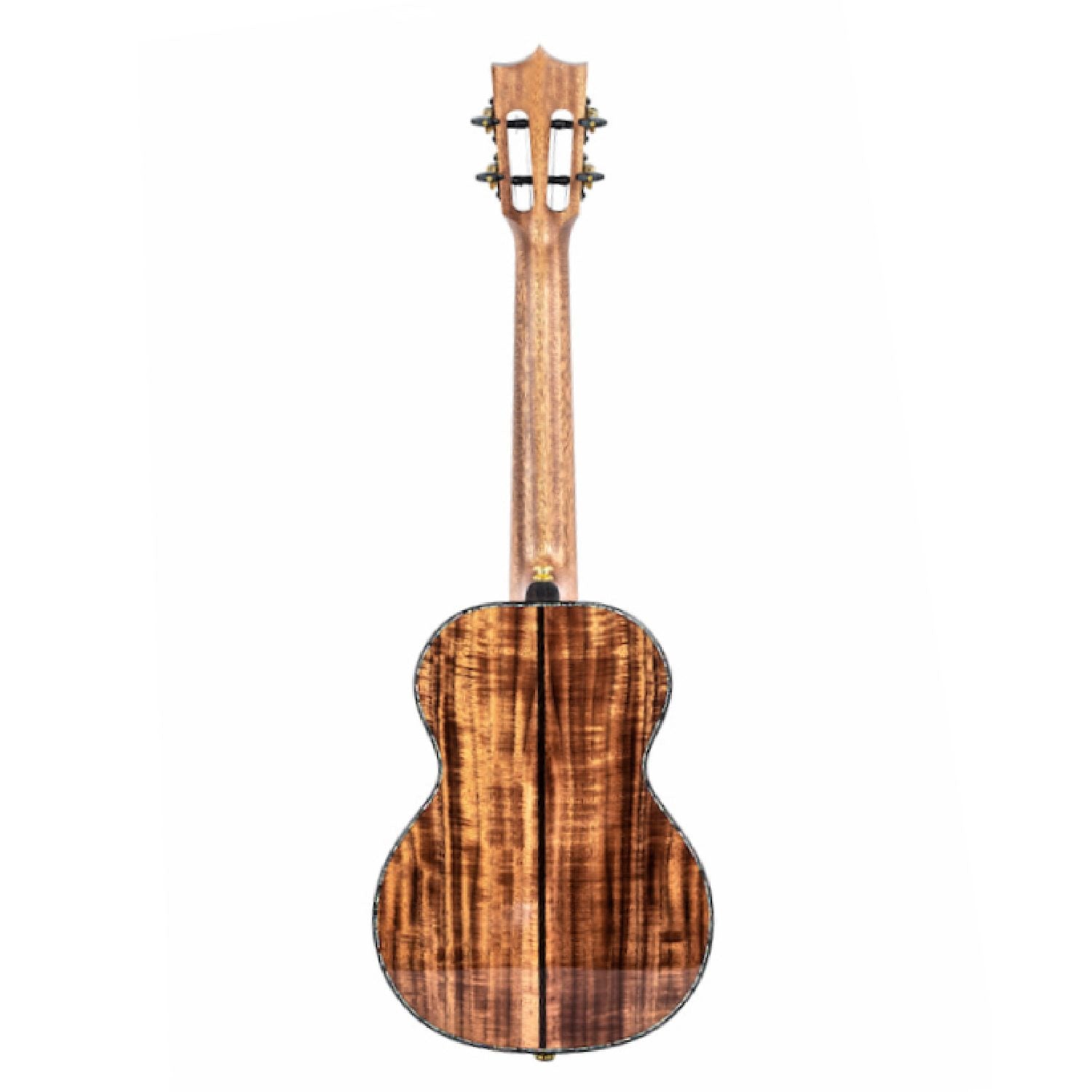 Twisted Wood KO2000 Ukulele back