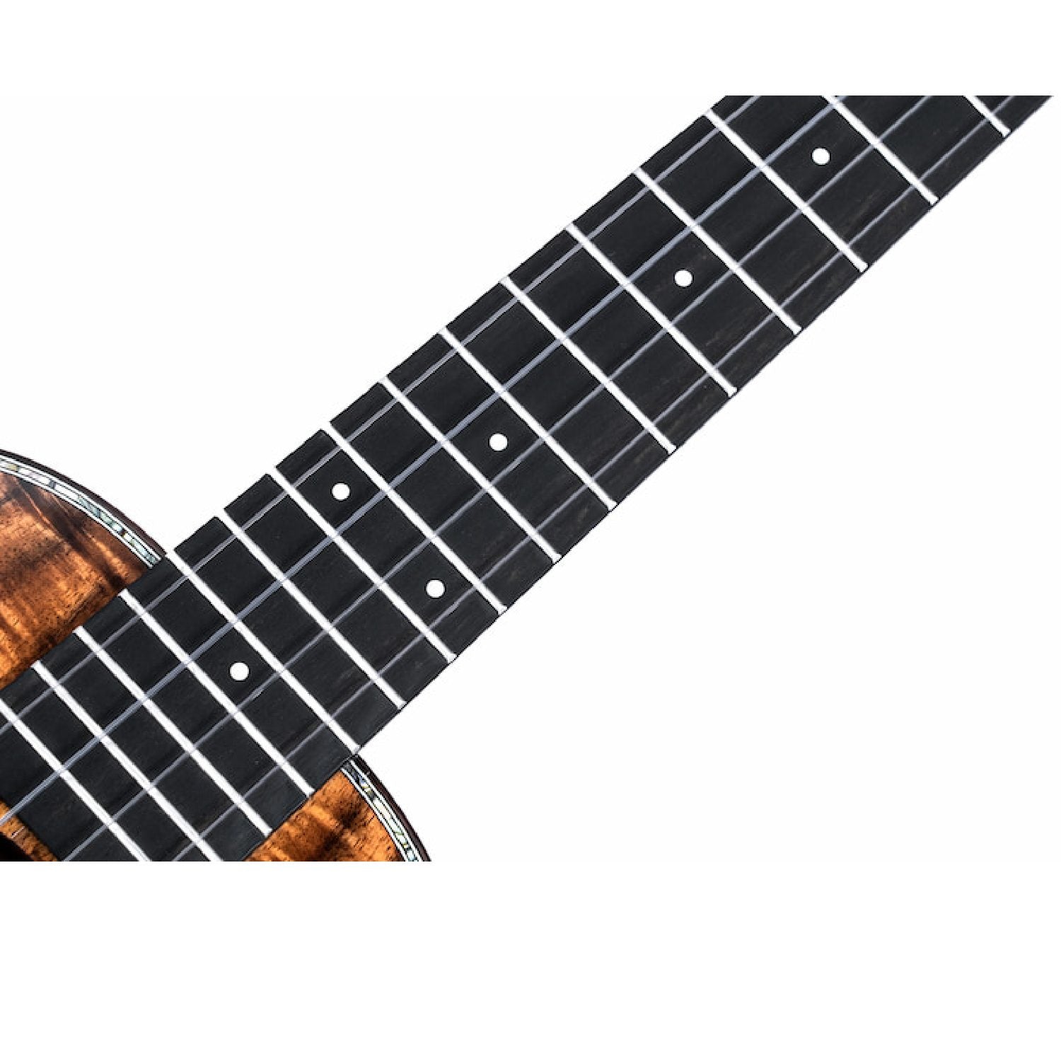 Twisted Wood KO2000 Ukulele neck