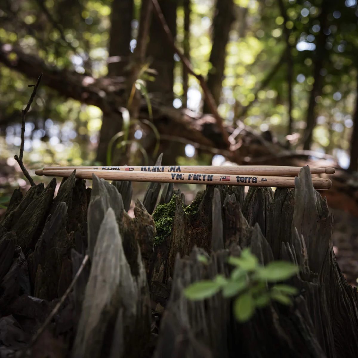 Vic Firth - 5AT Terra Series American Classic Drumsticks Presentation