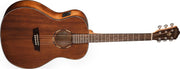 Washburn - Woodline 10 Series Acoustic-Electric Guitar Standard #WLO12SE-O