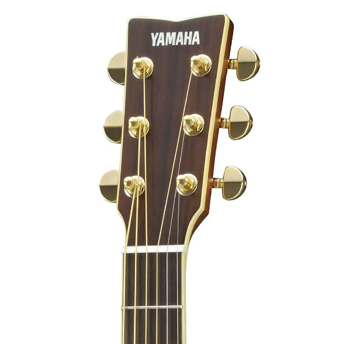 Yamaha LS16AREDT - Folk Rosewood Dark tinted guitar Neck