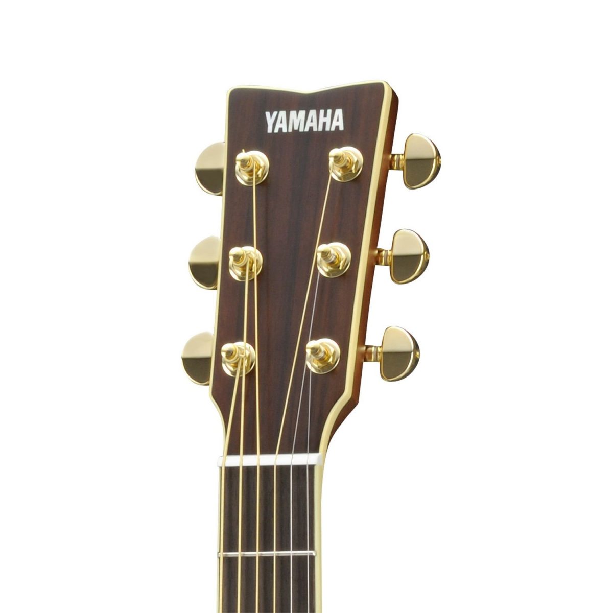 Yamaha - LS6M ARE - Small-Body Acoustic Guitar Head