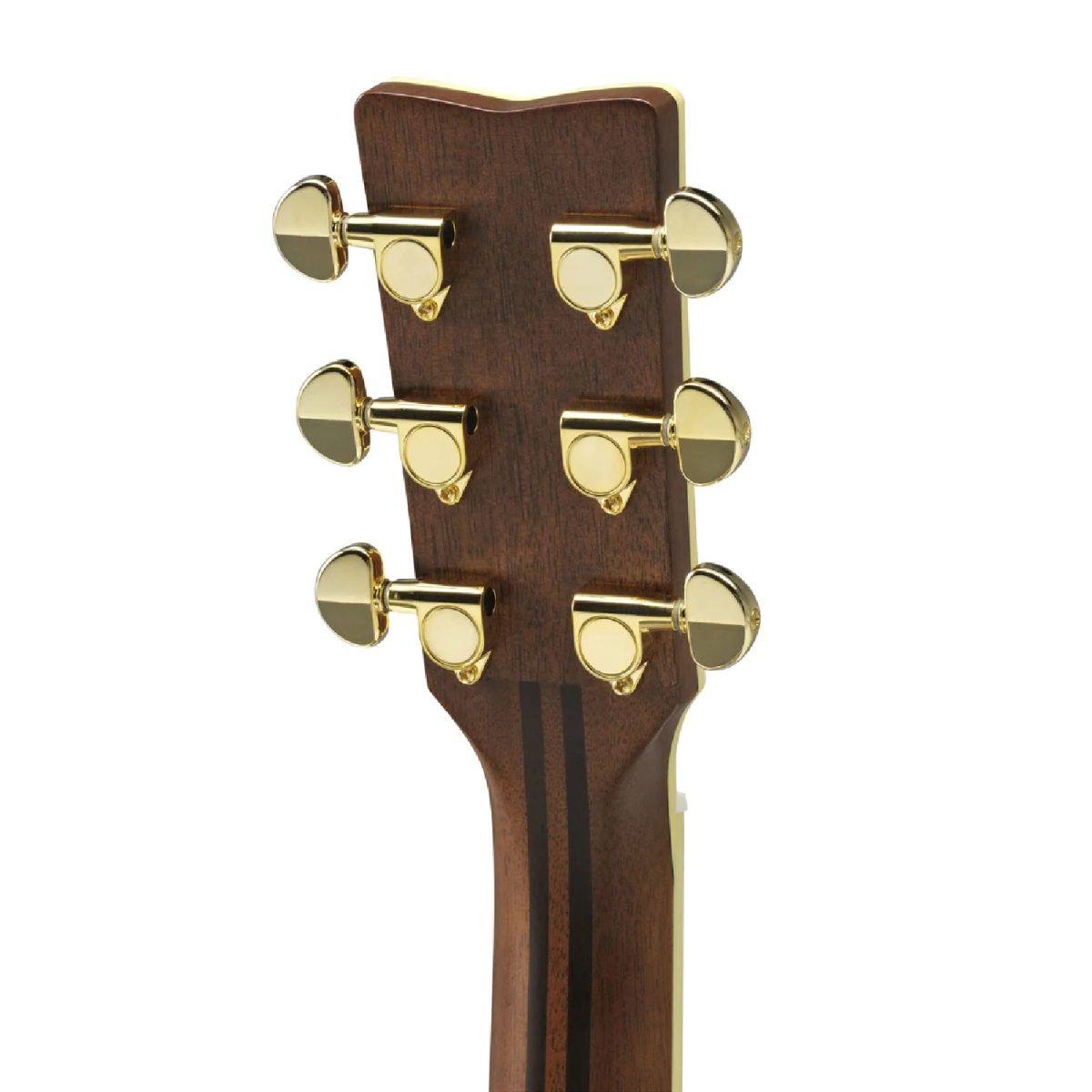 Yamaha - LS6 ARE Brown Sunburst Head Back