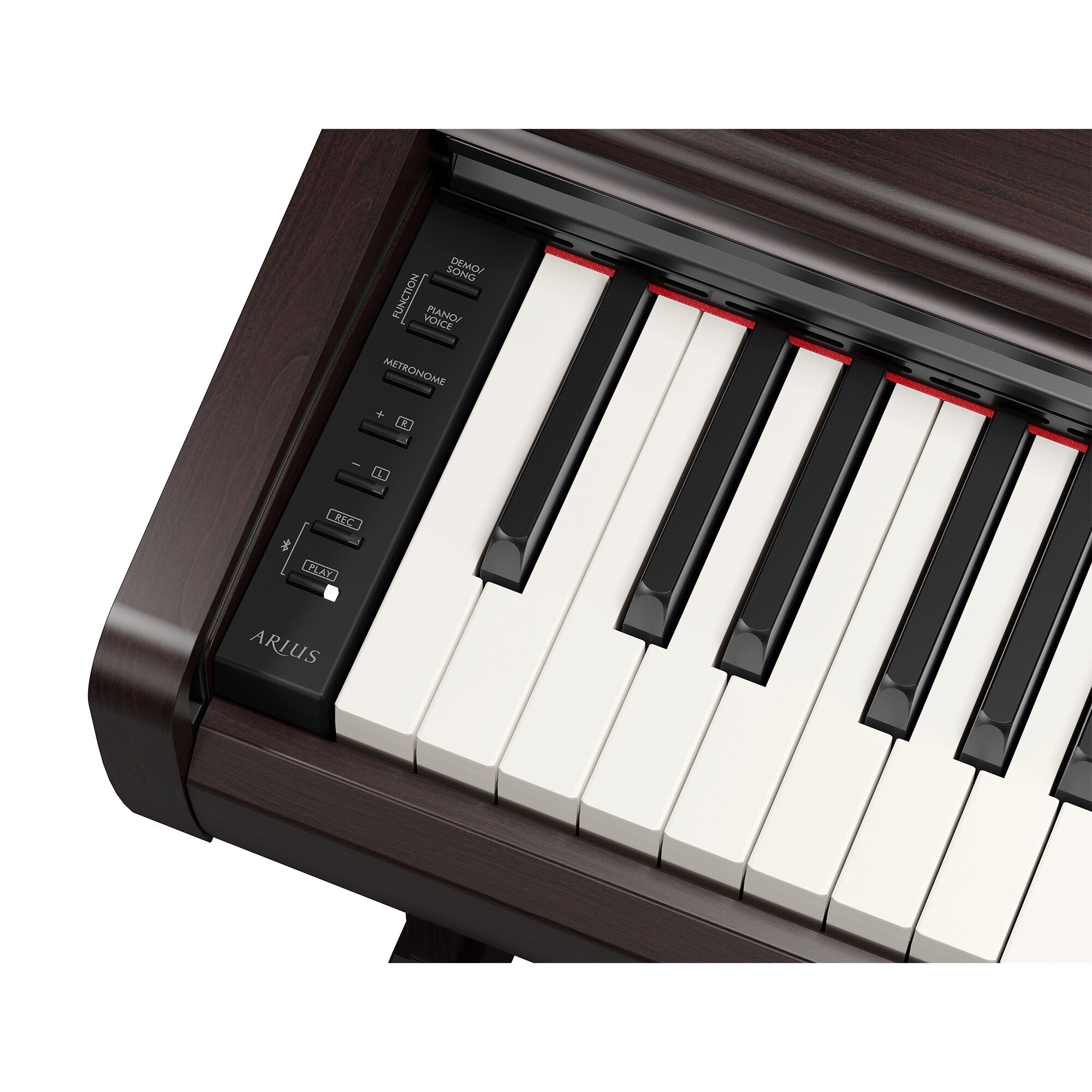 Yamaha - Arius YDP-146 Dark Rosewood Digital Piano
