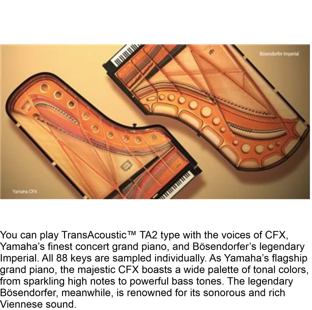 Yamaha - GC1 TA2 - TransAcousticCFX